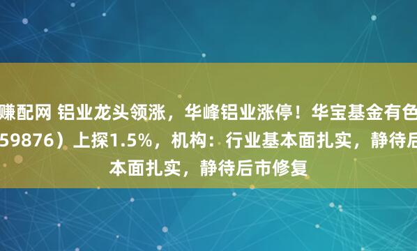 赚配网 铝业龙头领涨，华峰铝业涨停！华宝基金有色ETF（159876）上探1.5%，机构：行业基本面扎实，静待后市修复