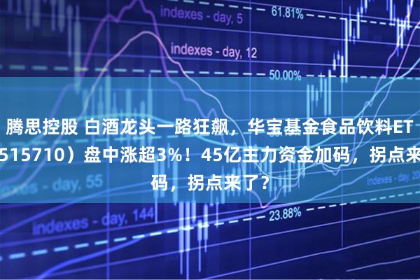 腾思控股 白酒龙头一路狂飙，华宝基金食品饮料ETF（515710）盘中涨超3%！45亿主力资金加码，拐点来了？