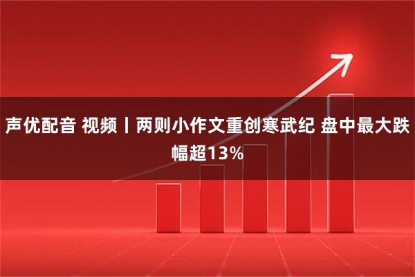 声优配音 视频丨两则小作文重创寒武纪 盘中最大跌幅超13%