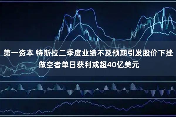 第一资本 特斯拉二季度业绩不及预期引发股价下挫 做空者单日获利或超40亿美元